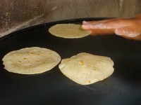GASTRONOMIA